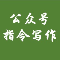 AI指令公众号爆文写作（已完结） logo