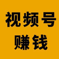 小报童专栏 手把手教你视频号赚钱