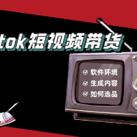 专栏Tiktok新手入门短视频和店铺运营头像