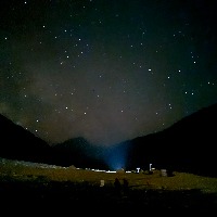 小Z的游荡进化花园