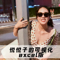 悦悦子的可视化excel