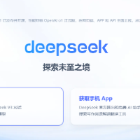 拒绝做Deepseek的第二批“受害者”