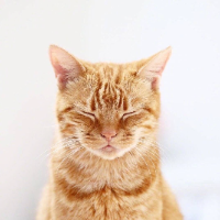 歸藏的 AIGC 周刊