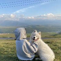 珞珞如石avatar_url logo